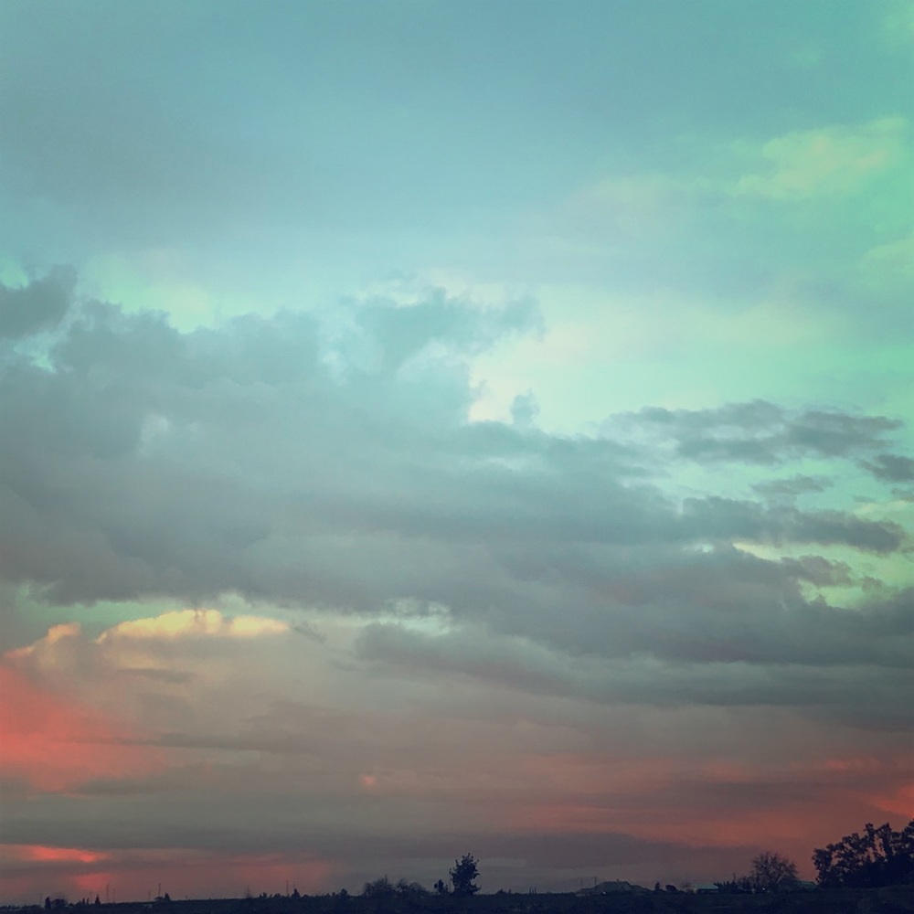 Meet your Posher, Angie